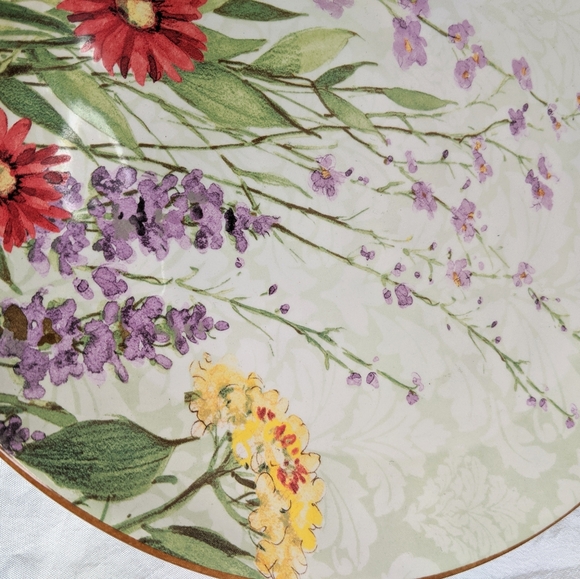 Pier 1 Dining Pier One Botanical Garden Dinner Plate Poshmark